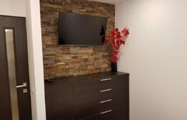 Apartament cu 2 camere, etaj 1, finisaje de lux, zona Decebal