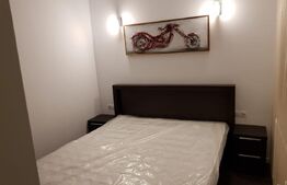 Apartament cu 2 camere, etaj 1, finisaje de lux, zona Decebal