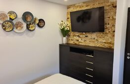 Apartament cu 2 camere, etaj 2, finisaje de lux, zona Decebal