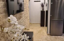 Apartament cu 2 camere, etaj 2, finisaje de lux, zona Decebal
