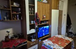 Garsoniera de vanzare - 22 mp, zona Garii