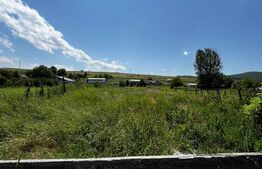 Casa de vanzare, 140 mp, 3300 mp teren, la 25 km de Bistrita