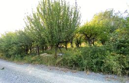 TEREN INTRAVILAN de VÂNZARE –Valea Rusului, priveliște panoramică spre oras 