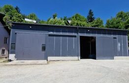 Duplex+Hala+5000 mp teren,zona Rebrisoara