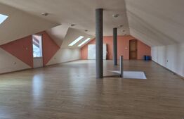 Duplex+Hala+5000 mp teren,zona Rebrisoara