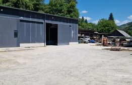 Duplex+Hala+5000 mp teren,zona Rebrisoara