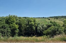 Teren intravilan,  ideal constructie casa, 12 ari in zona Valea Ghinzii