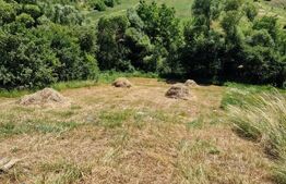 Teren intravilan,  ideal constructie casa, 12 ari in zona Valea Ghinzii