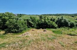 Teren intravilan,  ideal constructie casa, 12 ari in zona Valea Ghinzii