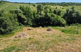 Teren intravilan,  ideal constructie casa, 12 ari in zona Valea Ghinzii