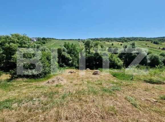 Teren de vânzare Nord-Est - 173314TV | BLITZ Bistriţa | Poza5