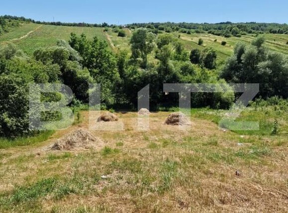 Teren de vânzare Nord-Est - 173314TV | BLITZ Bistriţa | Poza1