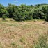Teren de vânzare Nord-Est - 173314TV - Poza 1 din 5 | BLITZ Bistriţa | Poza3