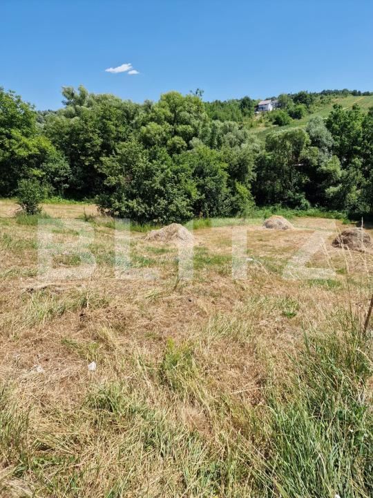 Teren de vânzare Nord-Est - 173314TV | BLITZ Bistriţa | Poza4