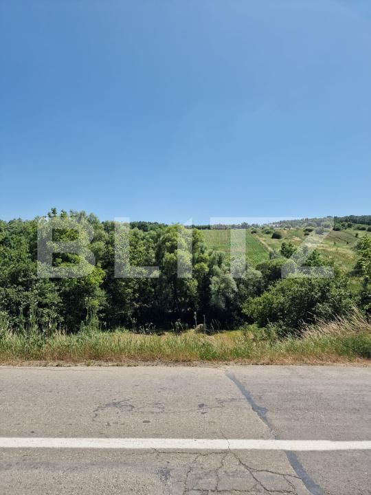 Teren de vânzare Nord-Est - 173314TV | BLITZ Bistriţa | Poza5