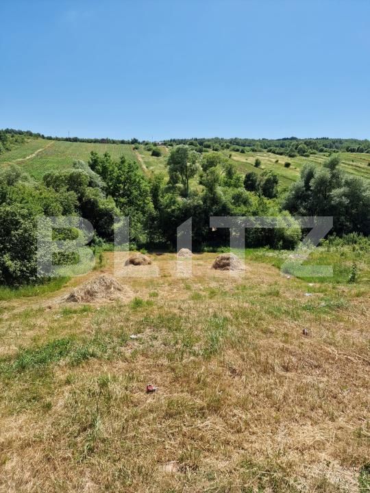 Teren de vânzare Nord-Est - 173314TV | BLITZ Bistriţa | Poza2