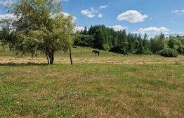 Casa noua, semifinisata, 56 ari teren, zona de exterior Est ( 10 km)
