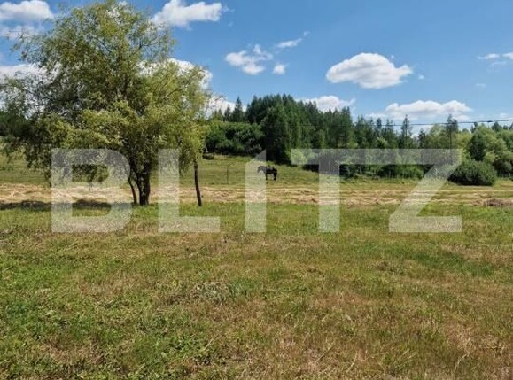 Casa de vânzare 4 camere Vest - 173316CV | BLITZ Bistriţa | Poza13