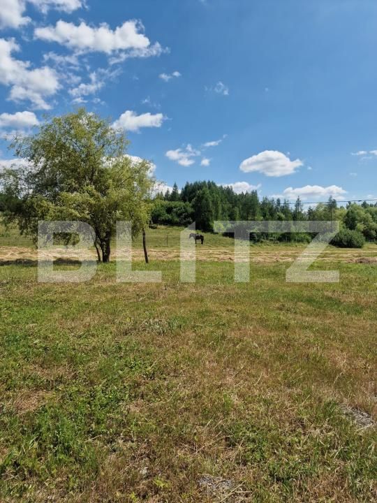 Casa de vânzare 4 camere Vest - 173316CV | BLITZ Bistriţa | Poza13