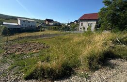 Teren Intravilan 500 mp, strada Tarpiului