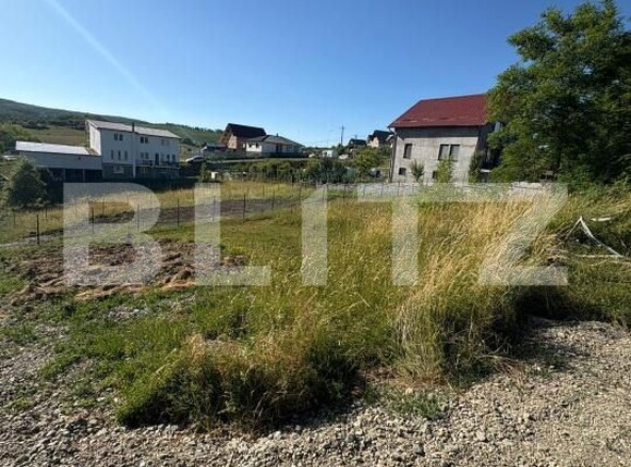 Teren de vânzare Industrială - 173364TV | BLITZ Bistriţa | Poza3