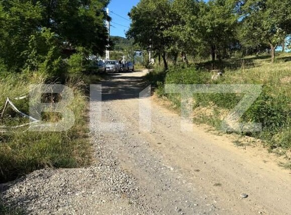 Teren de vânzare Industrială - 173364TV | BLITZ Bistriţa | Poza5