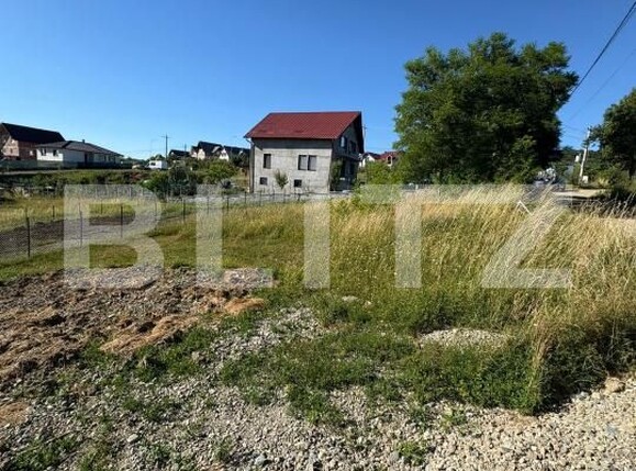 Teren de vânzare Industrială - 173364TV | BLITZ Bistriţa | Poza2