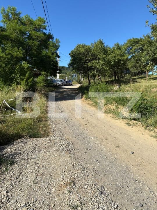 Teren de vânzare Industrială - 173364TV | BLITZ Bistriţa | Poza5