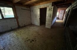 🏡Cabana de Vis în Inima Naturii – Investiția Perfectă la 10 min de Beclean!