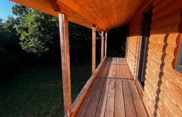 🏡Cabana de Vis în Inima Naturii – Investiția Perfectă la 10 min de Beclean!