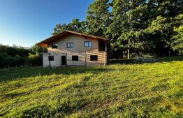 🏡Cabana de Vis în Inima Naturii – Investiția Perfectă la 10 min de Beclean!