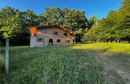 🏡Cabana de Vis în Inima Naturii – Investiția Perfectă la 10 min de Beclean!