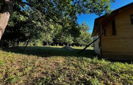 🏡Cabana de Vis în Inima Naturii – Investiția Perfectă la 10 min de Beclean!