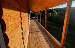 🏡Cabana de Vis în Inima Naturii – Investiția Perfectă la 10 min de Beclean!