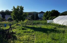 Casă + Spațiu Comercial în Centru Beclean – Ideal Pentru Orice Fel De Afacere