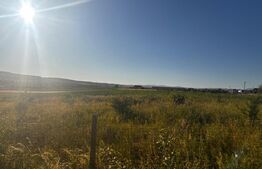 Teren Intravilan, 3000 mp, Sieu Odorhei