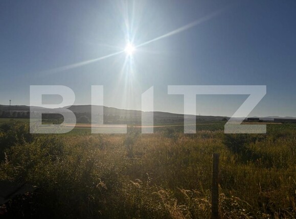 Teren de vânzare Sud - 173429TV | BLITZ Bistriţa | Poza2