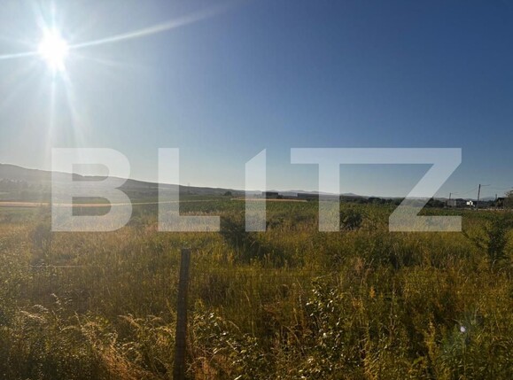 Teren de vânzare Sud - 173429TV | BLITZ Bistriţa | Poza1