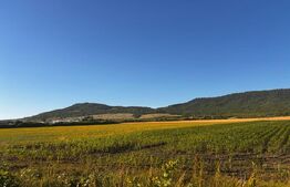 Teren Intravilan 5100 mp, Sieu Magherus