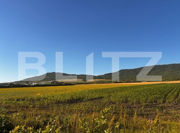 Teren de vânzare Sud - 173431TV | BLITZ Bistriţa | Poza1