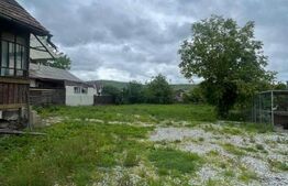 Casa Individuala, teren 1250 mp, Viisoara