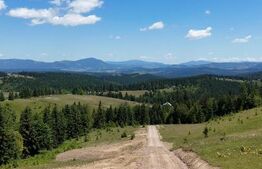 Teren de vânzare la Tihuța – Locație turistică, ideal pentru investiție 