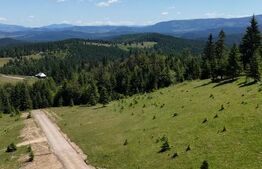 Teren de vânzare la Tihuța – Locație turistică, ideal pentru investiție 