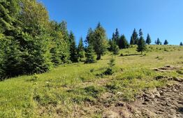 Teren de vânzare la Tihuța – Locație turistică, ideal pentru investiție 