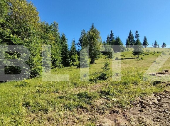 Teren de vânzare Exterior Nord - 173448TV | BLITZ Bistriţa | Poza6