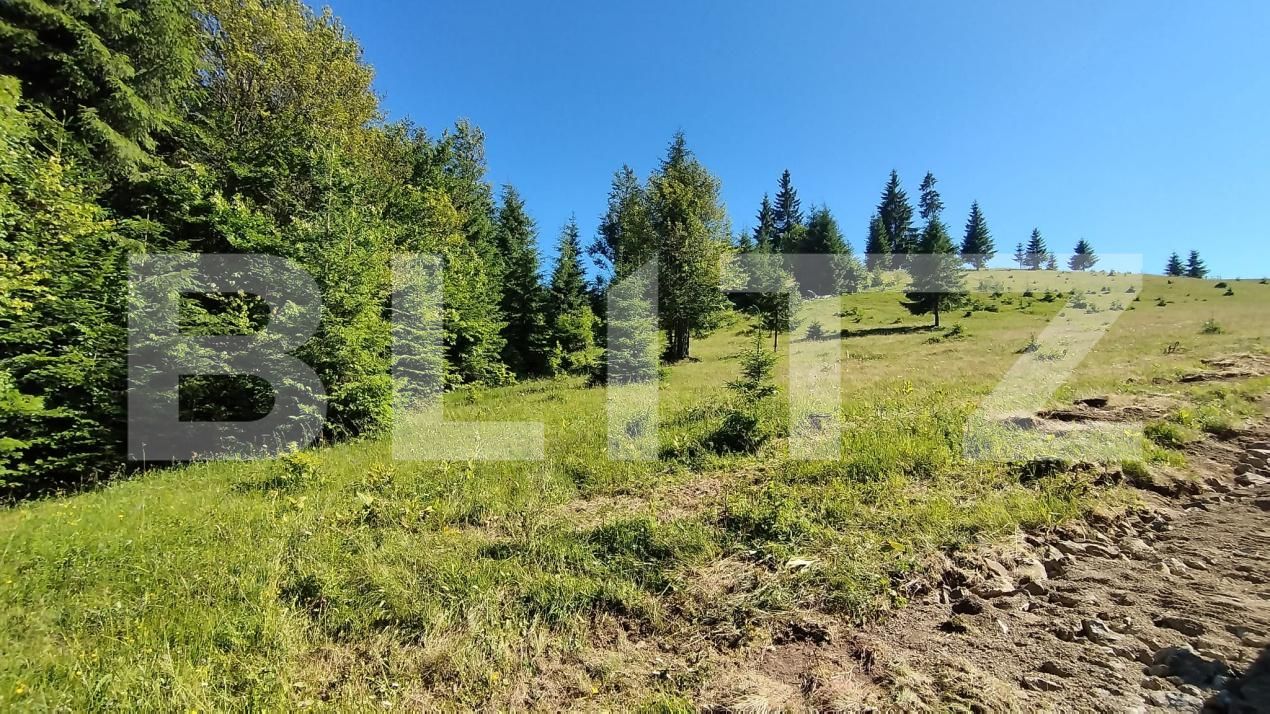 Teren de vânzare Exterior Nord - 173448TV | BLITZ Bistriţa | Poza6