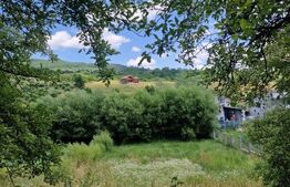 Teren extravilan, 774 mp, zona de centura, Priveliste Panoramica spre padure