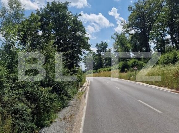 Teren de vânzare Centura - 173569TV | BLITZ Bistriţa | Poza3