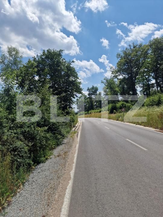 Teren de vânzare Centura - 173569TV | BLITZ Bistriţa | Poza3