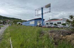Teren de 11 ari la drumul principal în Viișoara – ideal pentru investiție